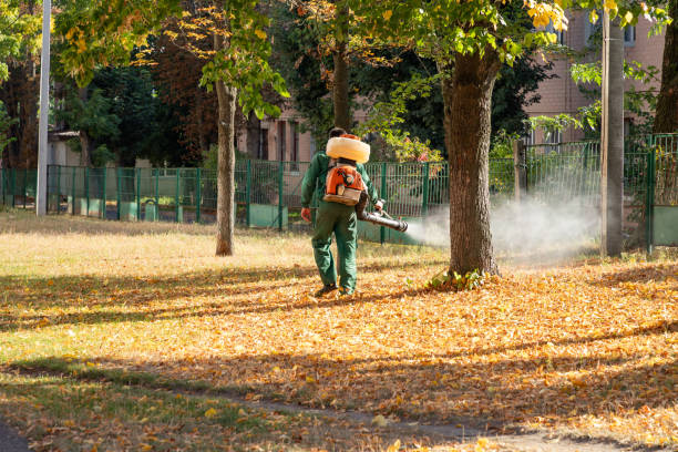 Best Spider Control Near Me  in Milton, DE