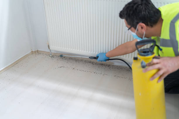 Best Emergency Pest Control  in Milton, DE