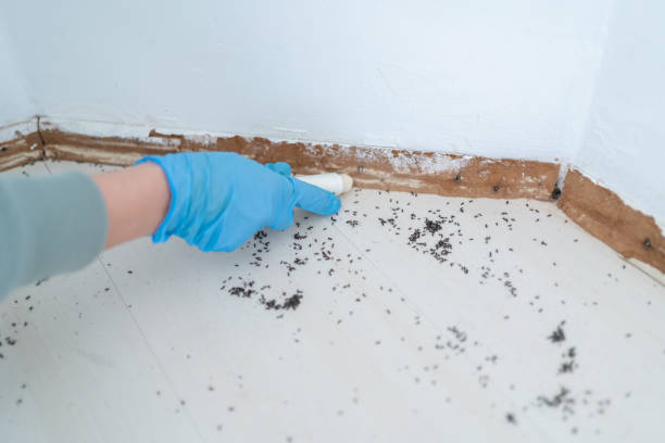 Best Pest Prevention Services  in Milton, DE