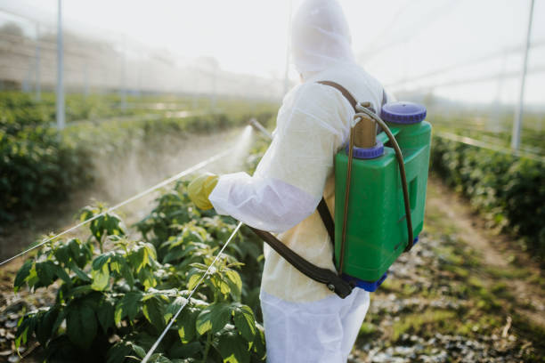 Best Wildlife Control Services  in Milton, DE
